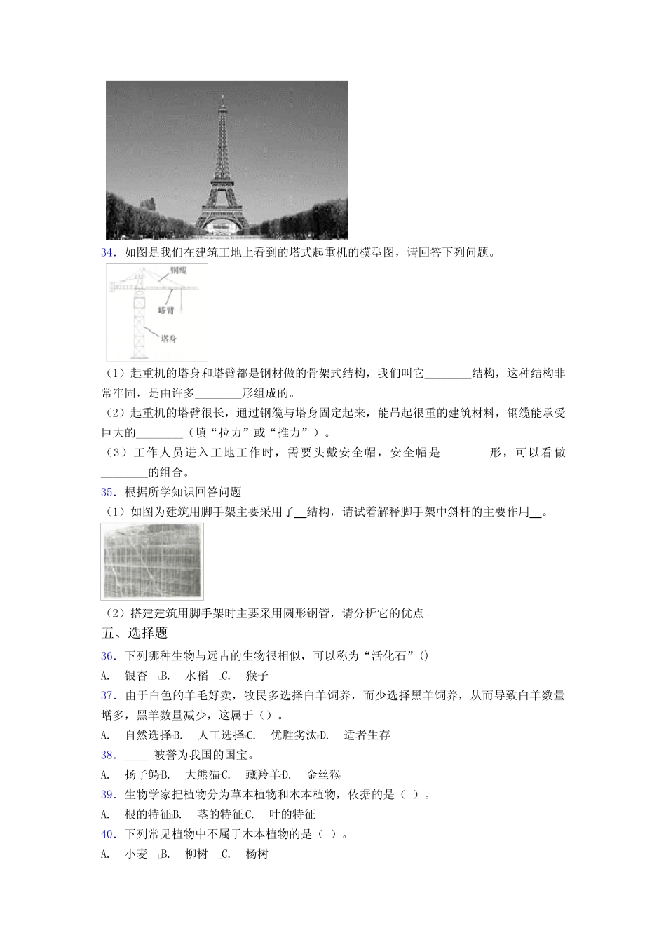 2022-2023年度教科版小学六年级科学(下册)全册单元全套单元期末单元试 _第3页