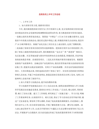 县商务局上半年工作总结