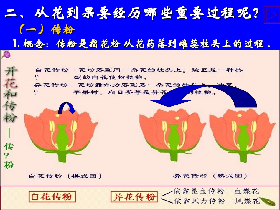 第三节开花和结果 (2)_第3页