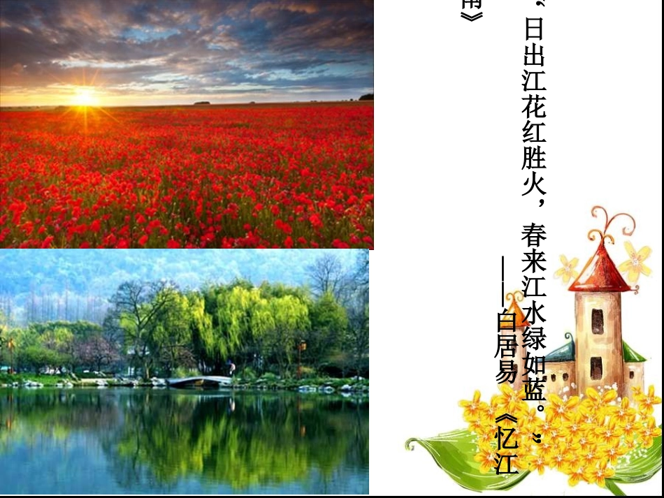 大自然的色彩_第2页