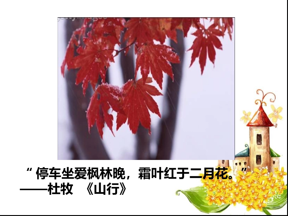 大自然的色彩_第3页