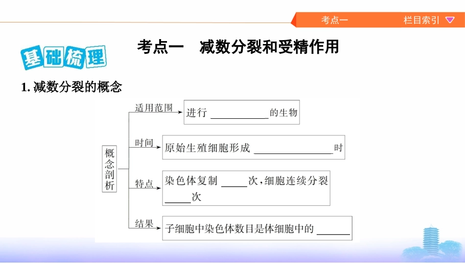 第11讲　减数分裂和受精作用_第2页