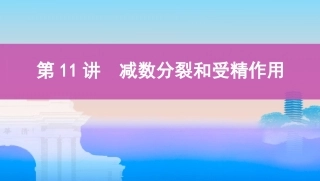 第11讲　减数分裂和受精作用