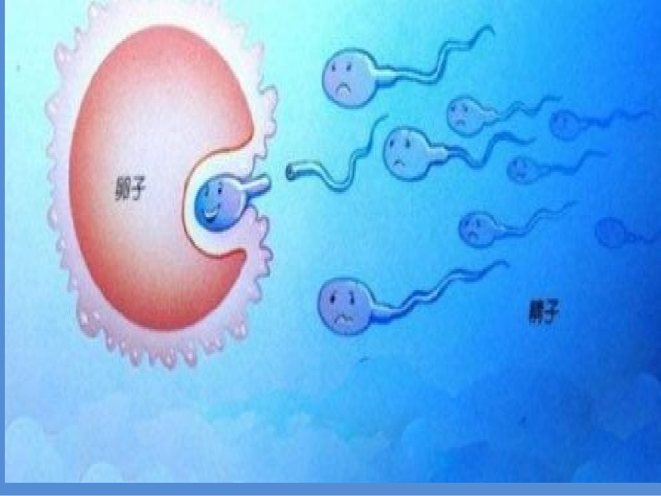 《成长的秘密》_第2页