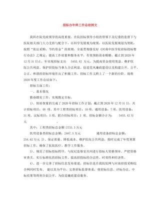 招标办年终工作总结例文