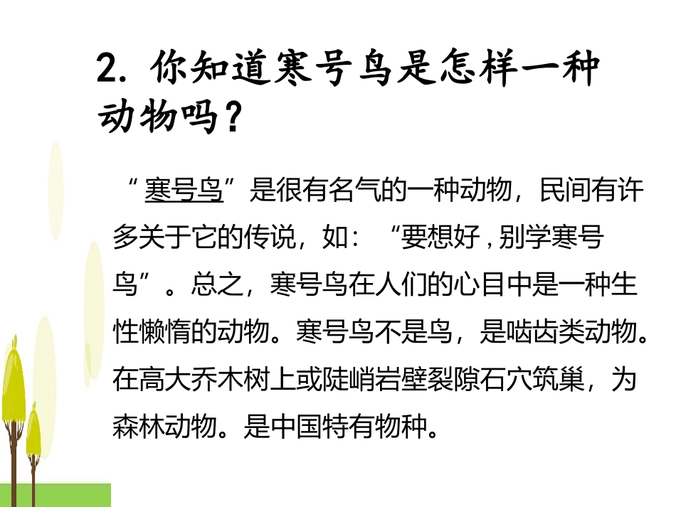 《寒号鸟》课件(部编版)-余坪镇中心小学校张群芳wps_第3页