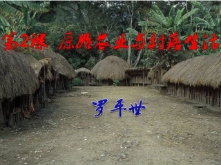 原始的农耕生活(罗)