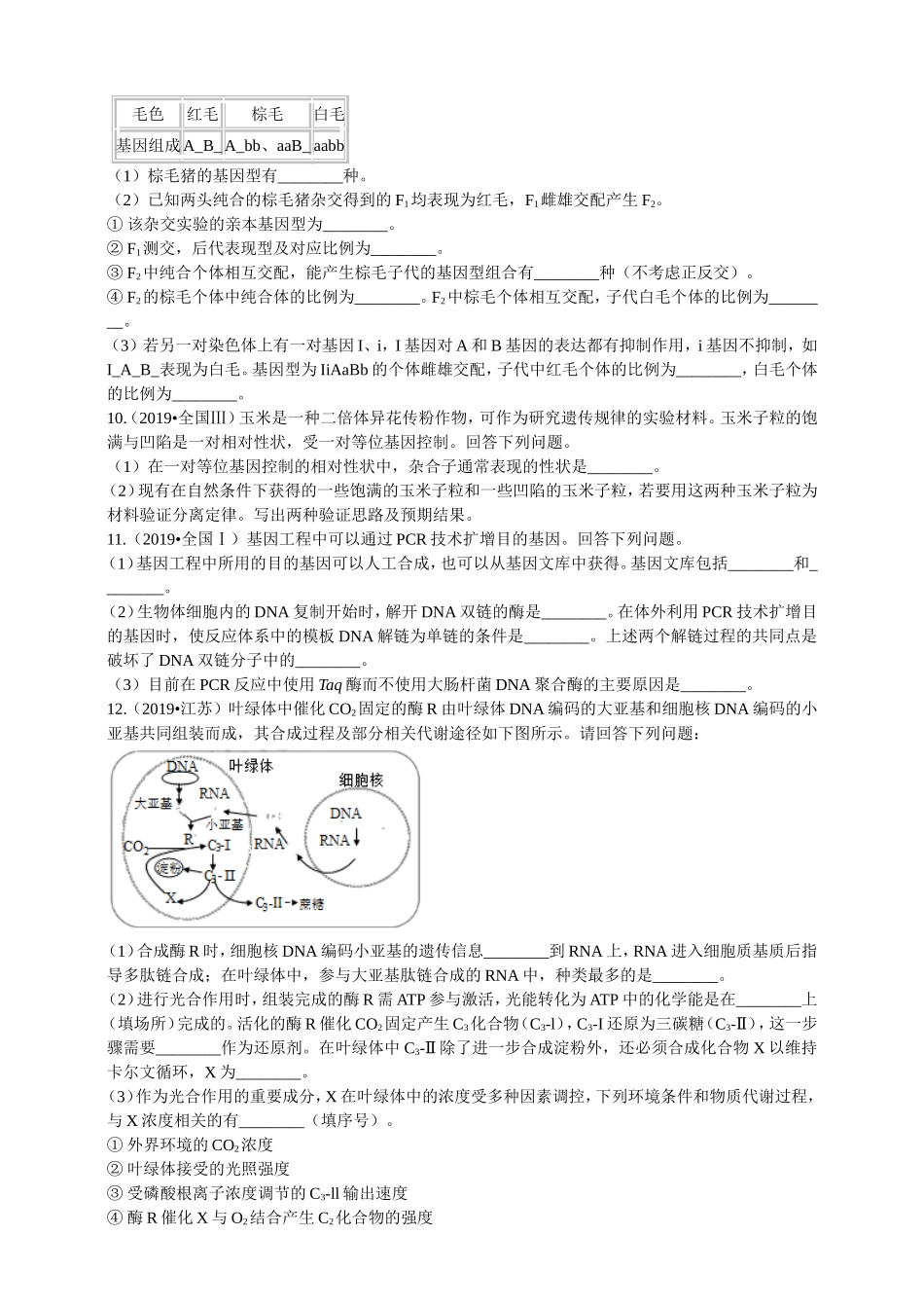 2019年高考生物真题分类汇编专题04：遗传的分子基础与规律_第3页