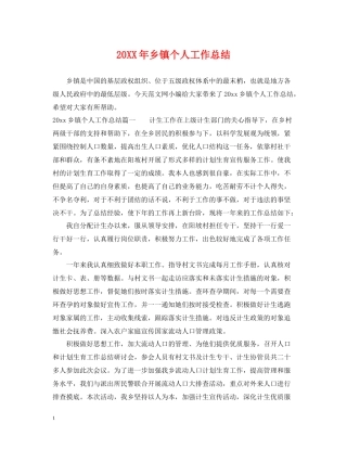 乡镇个人工作总结