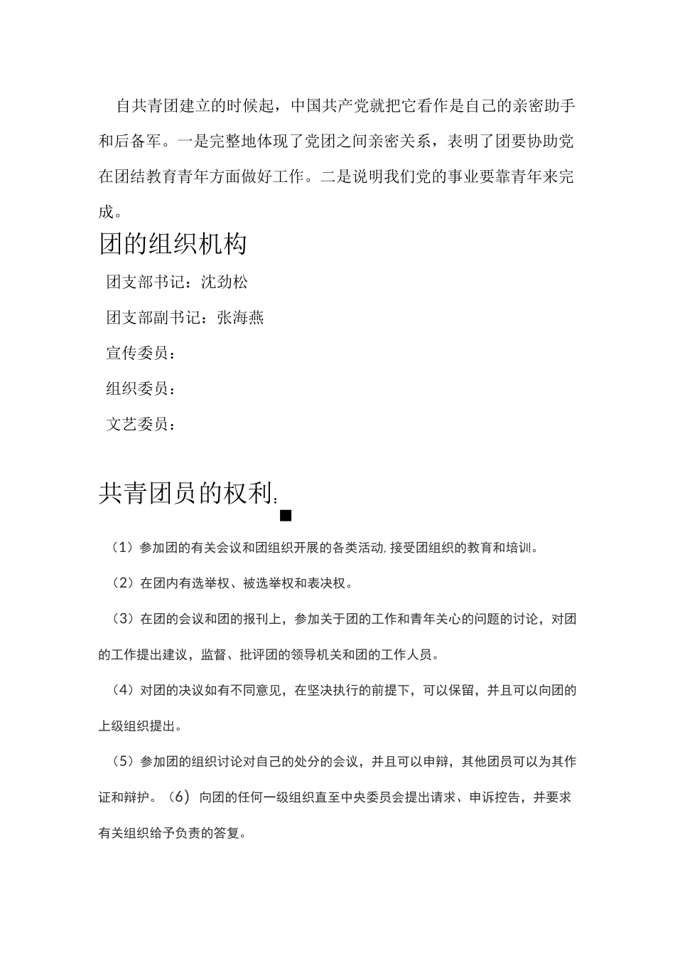 共青团的性质_第3页