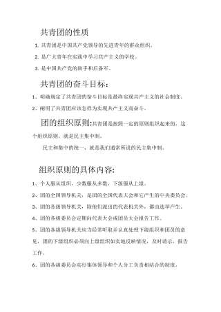 共青团的性质