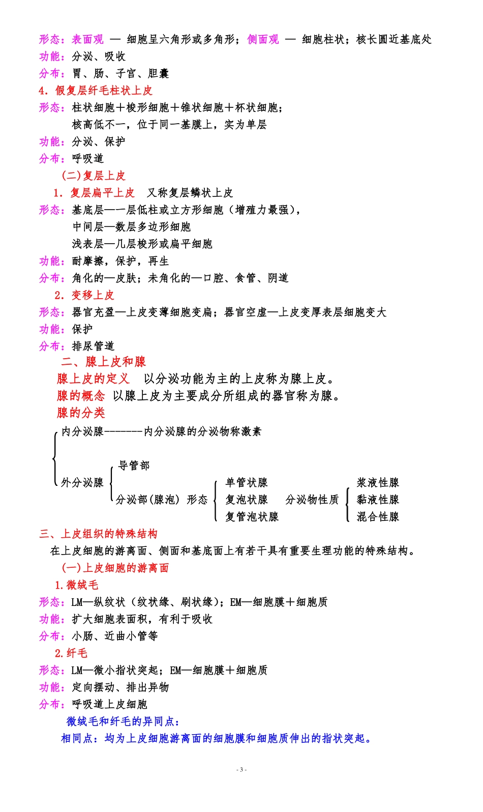人体结构学备课笔记汇总_第3页