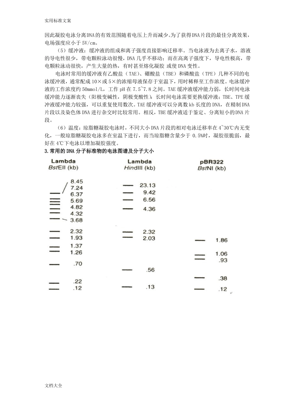 pUC19质粒DNA地提取纯化及检测_第3页