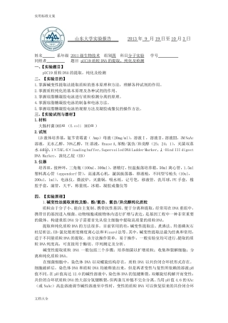 pUC19质粒DNA地提取纯化及检测