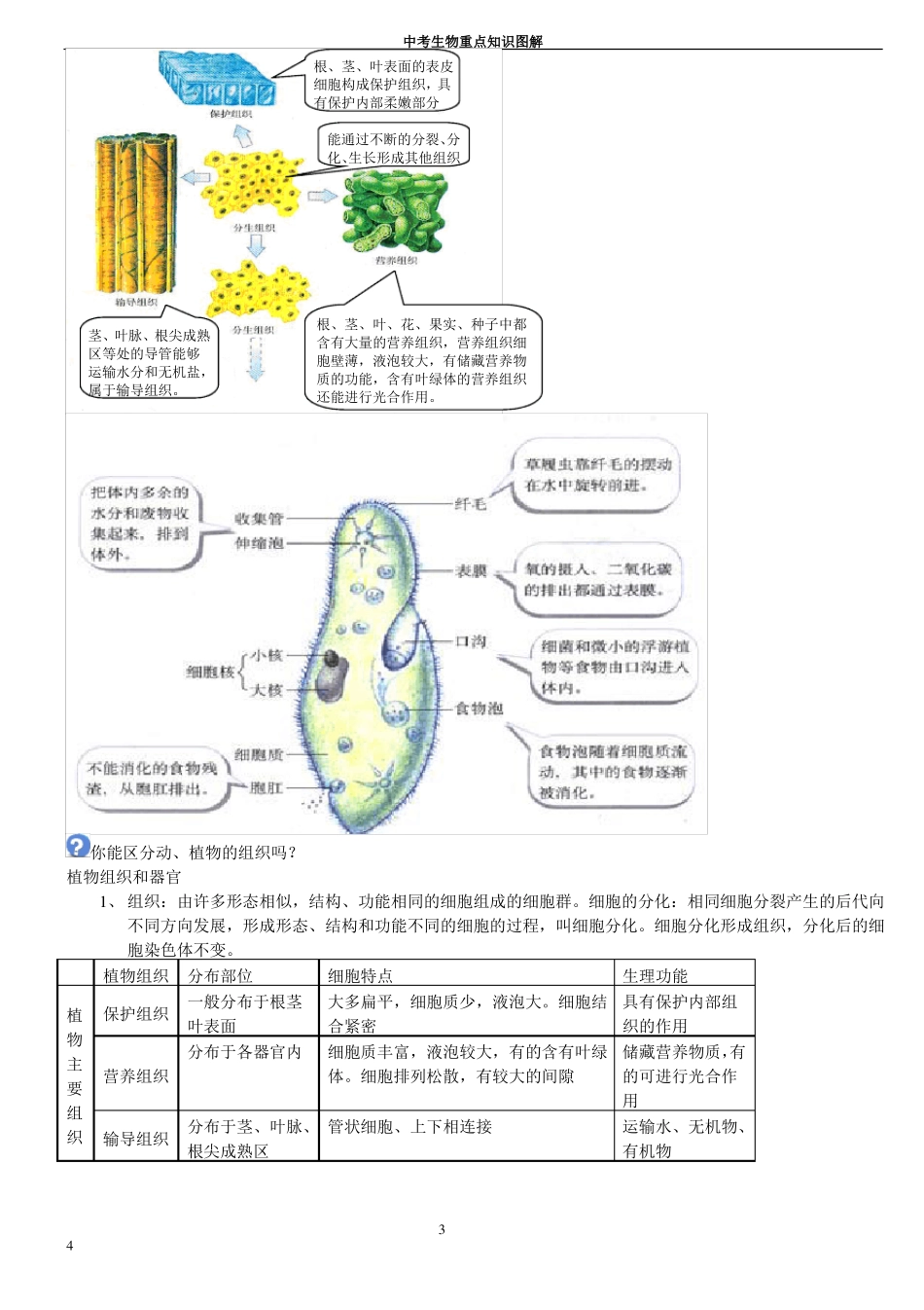 初中生物重点知识图解_第2页