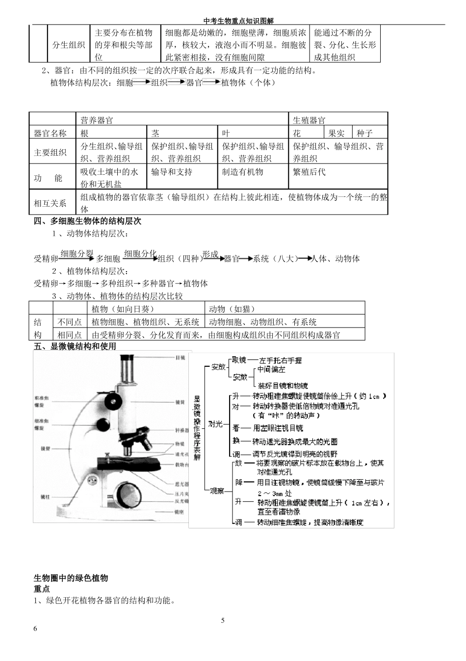 初中生物重点知识图解_第3页