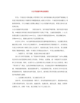 小公司老板年终总结报告