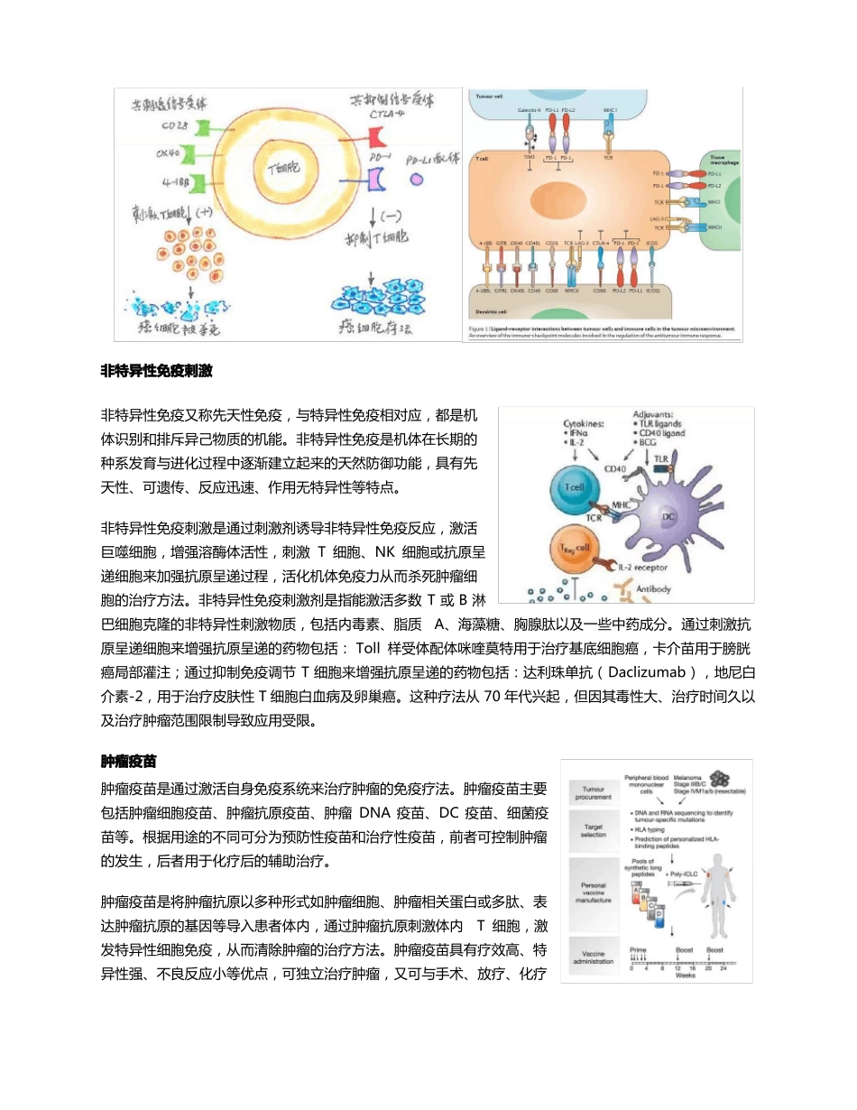 过继性细胞治疗的概念及分类_第3页