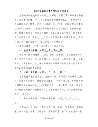 2022年缉枪治爆专项行动工作总结