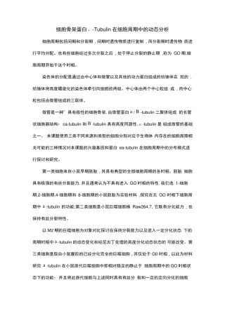 细胞骨架蛋白α