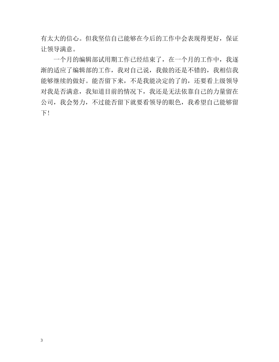 编辑试用期工作总结格式 _第3页