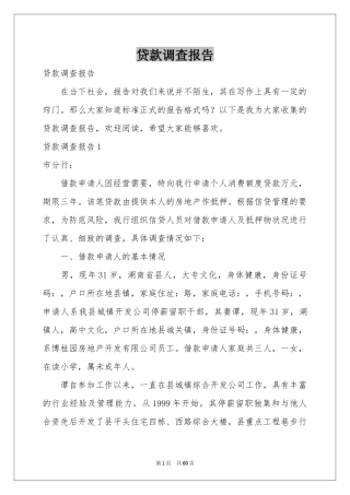 贷款调查报告