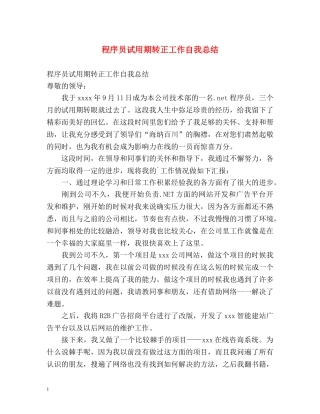 程序员试用期转正工作自我总结 