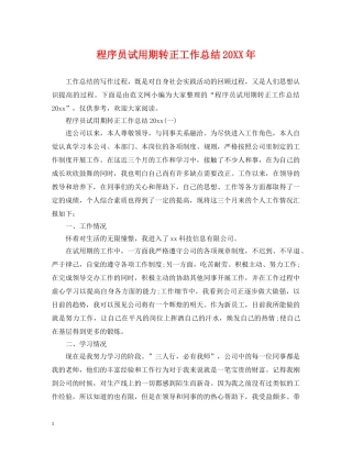 程序员试用期转正工作总结20XX年 