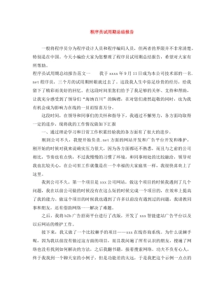 程序员试用期总结报告 