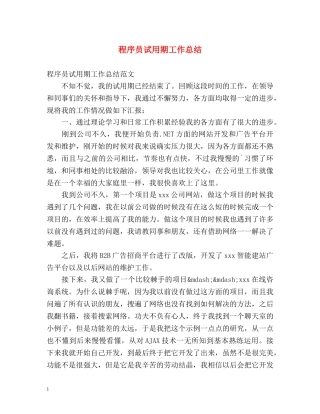 程序员试用期工作总结 (2) 