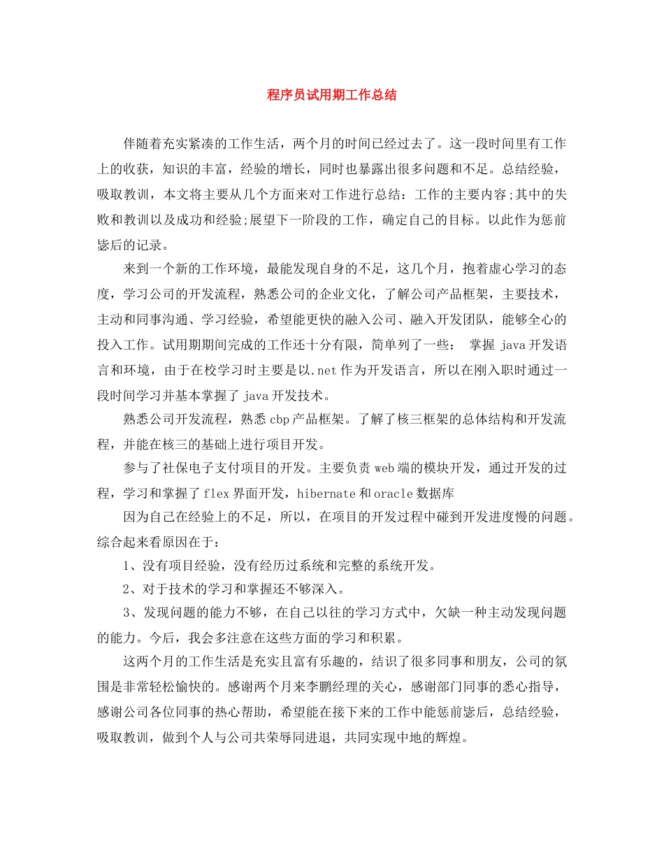 程序员试用期工作总结 _第1页