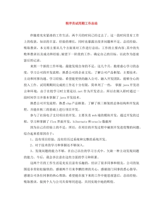 程序员试用期工作总结 