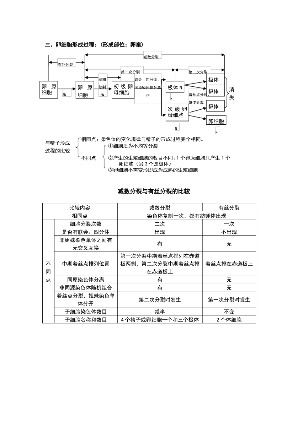 细胞增殖知识点总结_第3页
