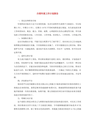 白领年度工作计划报告 