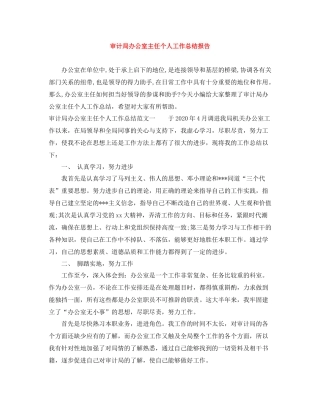 审计局办公室主任个人工作总结报告