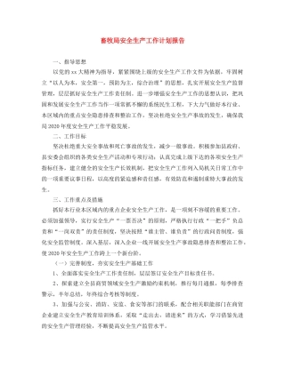 畜牧局安全生产工作计划报告 