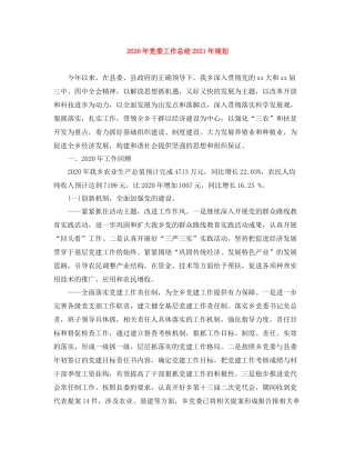 2020年党委工作总结年规划