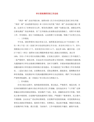 审计系统调研员的工作总结