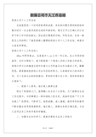 担保公司个人工作参考总结