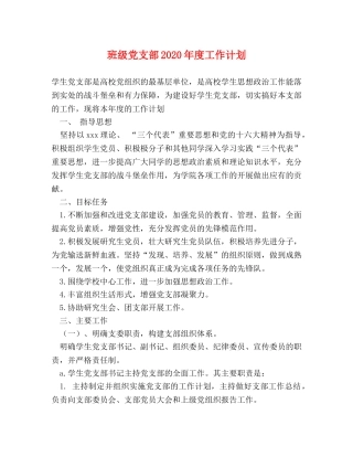 班级党支部2020年度工作计划 