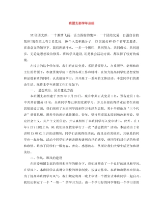 班团支部学年总结 