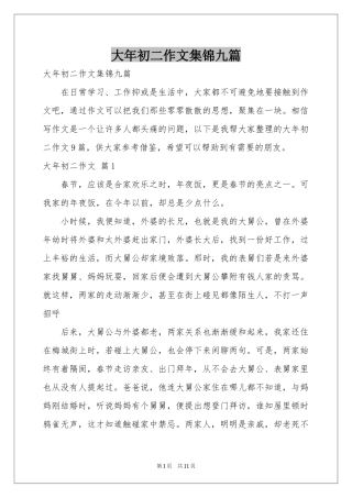 大年初二作文集锦九篇