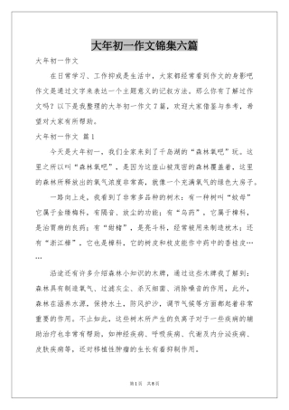 大年初一作文锦集六篇