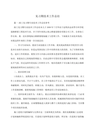 见习期技术工作总结