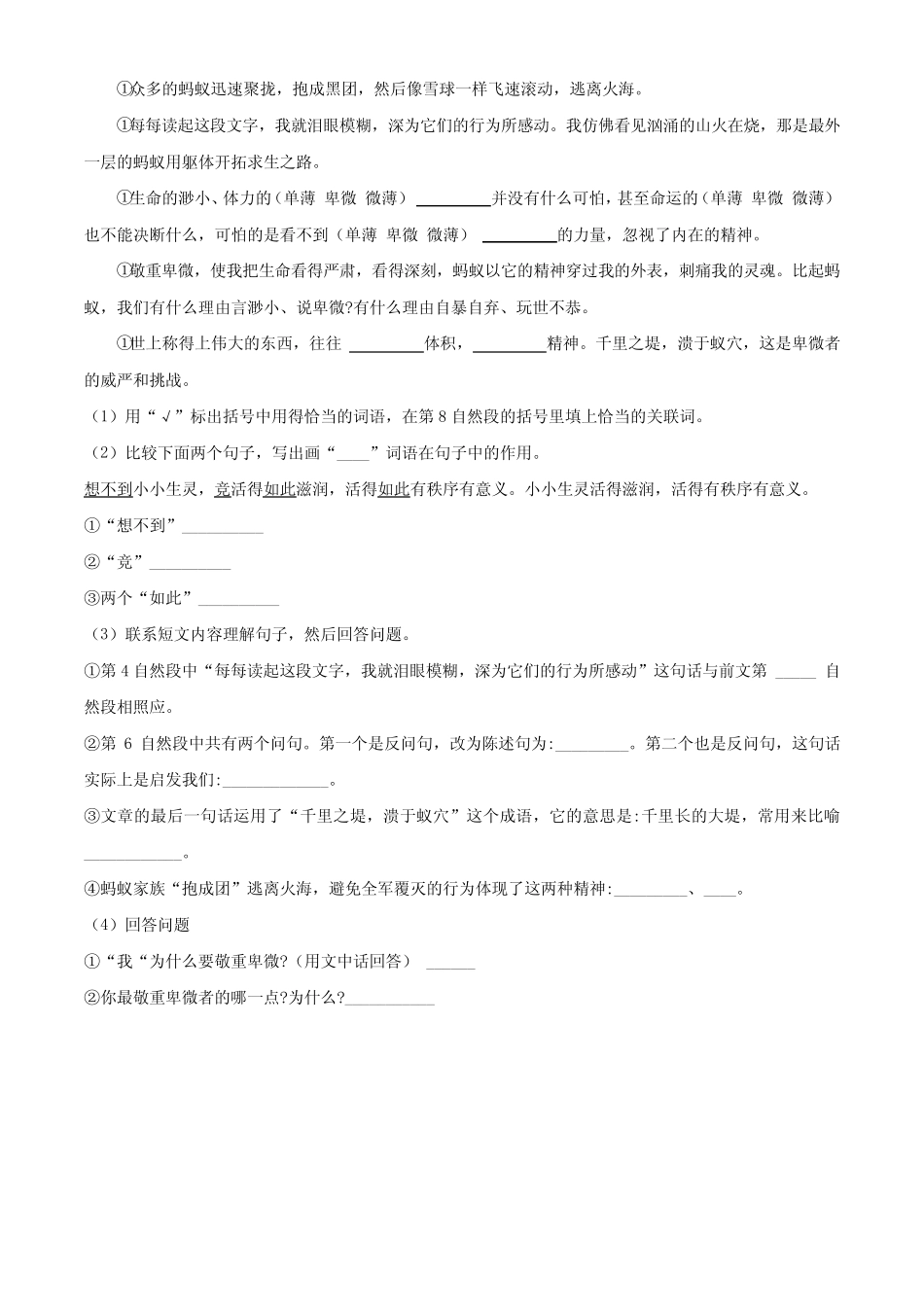 2023-2024学年【部编版】语文五年级上学期《期末考试题》带答案_第3页