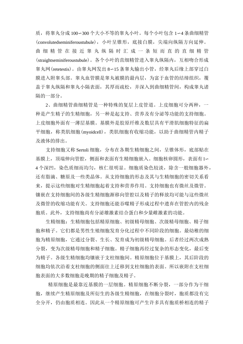 男性生殖系统解剖_第2页