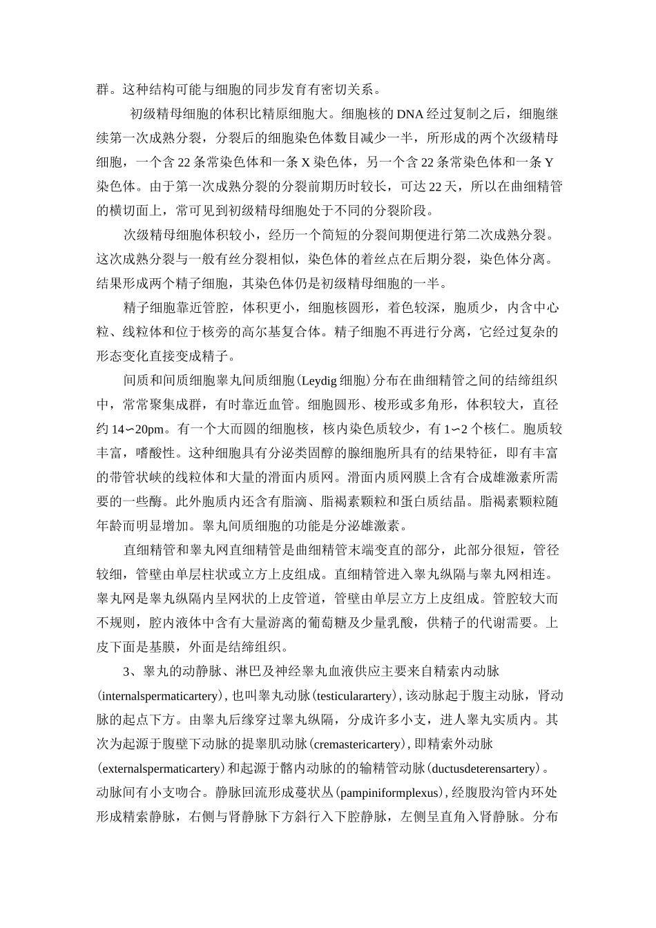 男性生殖系统解剖_第3页