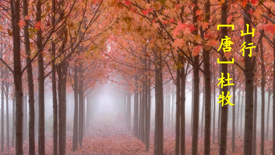 古诗三首【诗词吟诵】_第1页