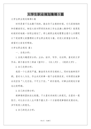大学生职业规划集锦5篇