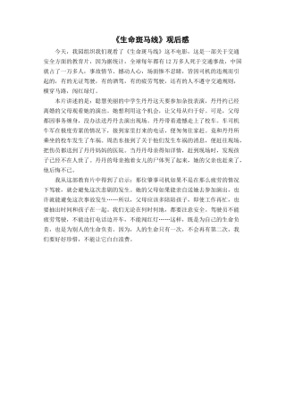 《生命斑马线观后感》